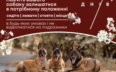 Відкрито набір на інтенсивний on-line марафон «Витримка»